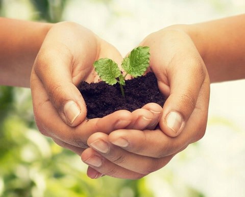 BIOHUMUS LIFE do wszystkich roślin 2 L