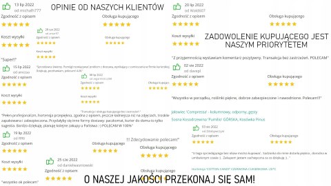 Budleja Omżyn 'White Ball' BIAŁE KWIATY, NA MOTYLE