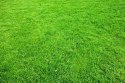 Nawóz Luvena trawnik 10kg