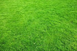 Nawóz Luvena trawnik formuła mech 10kg Fe