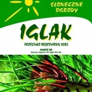 Klon palmowy EMERALD LACE Acer REALNE ZDJĘCIA