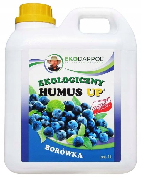 HUMUS UP PLUS Borówka 2L ORYGINALNY