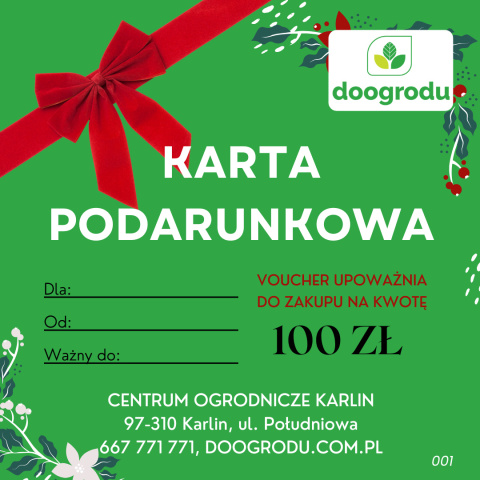 Karta podarunkowa 100ZŁ