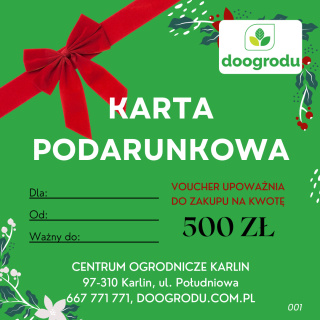 Karta podarunkowa 500ZŁ