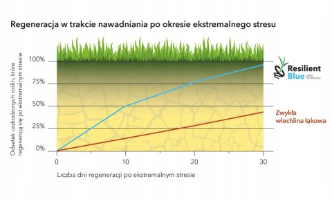 Nasiona trawy Barenbrug RESILIENT Tough & easy 5kg WYTRZYMAŁA POD ROBOTA