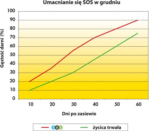 TRAWA REGENERACYJNA NA DOSIEWKĘ Barenbrug SOS Quick Repair 15kg LAWN REPAIR