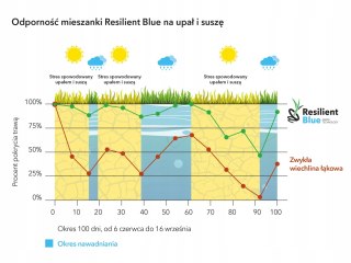 Trawa Barenbrug RESILIENT Tough & easy 1kg BARDZO MOCNA MIESZANKA DO ROBOTA