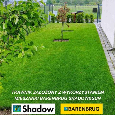 Trawa Barenbrug SHADOW Shadow & Sun 1kg NASIONA OTOCZKOWANE SŁOŃCE - CIEŃ