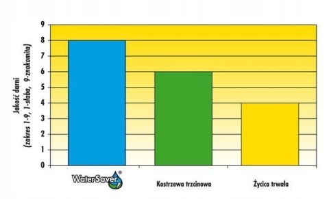 Trawa Barenbrug WATER SAVER 15kg Odporna na Suszę i Intensywne Użytkowanie