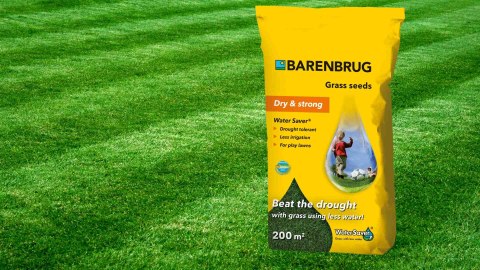 Trawa Barenbrug WATER SAVER 5kg NA SUCHE TERENY OTOCZKOWANE NASIONA