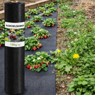 Agrowłóknina czarna 1,6x100m 100g/m2 DO Agro pod truskawki