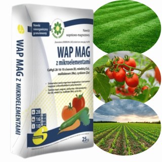Nawóz Wapno WAP MAG Z MIKROELEMENTAMI pod trawnik Wapniowo Magnezowy CaMgS 28-16-10 z B,Cu,Mo,Zn 25kg