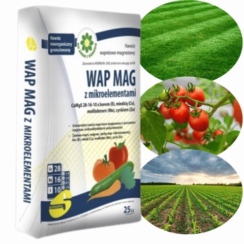 Nawóz Wapno WAP MAG Z MIKROELEMENTAMI pod trawnik Wapniowo Magnezowy CaMgS 28-16-10 z B,Cu,Mo,Zn 25kg