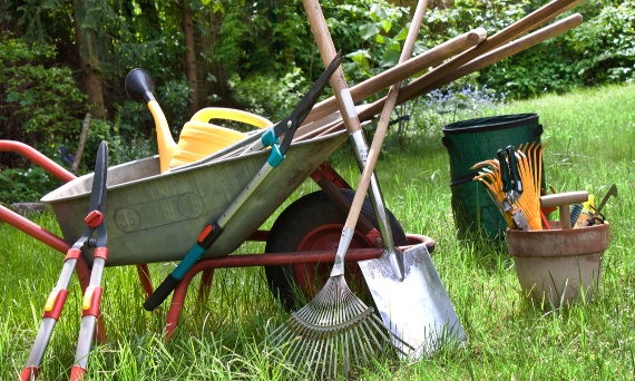 Jak przygotować ogród na wiosnę? Niezbędne prace krok po kroku?