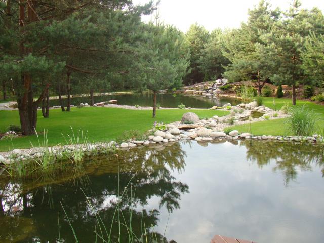 Ogr&oacute;d leśny ze stawem Quercus Mikołajczyk